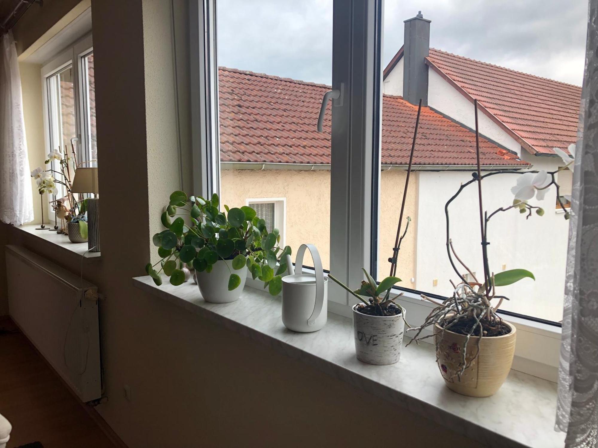Ferienwohnung Am Gruenen Band Hellingen Bagian luar foto