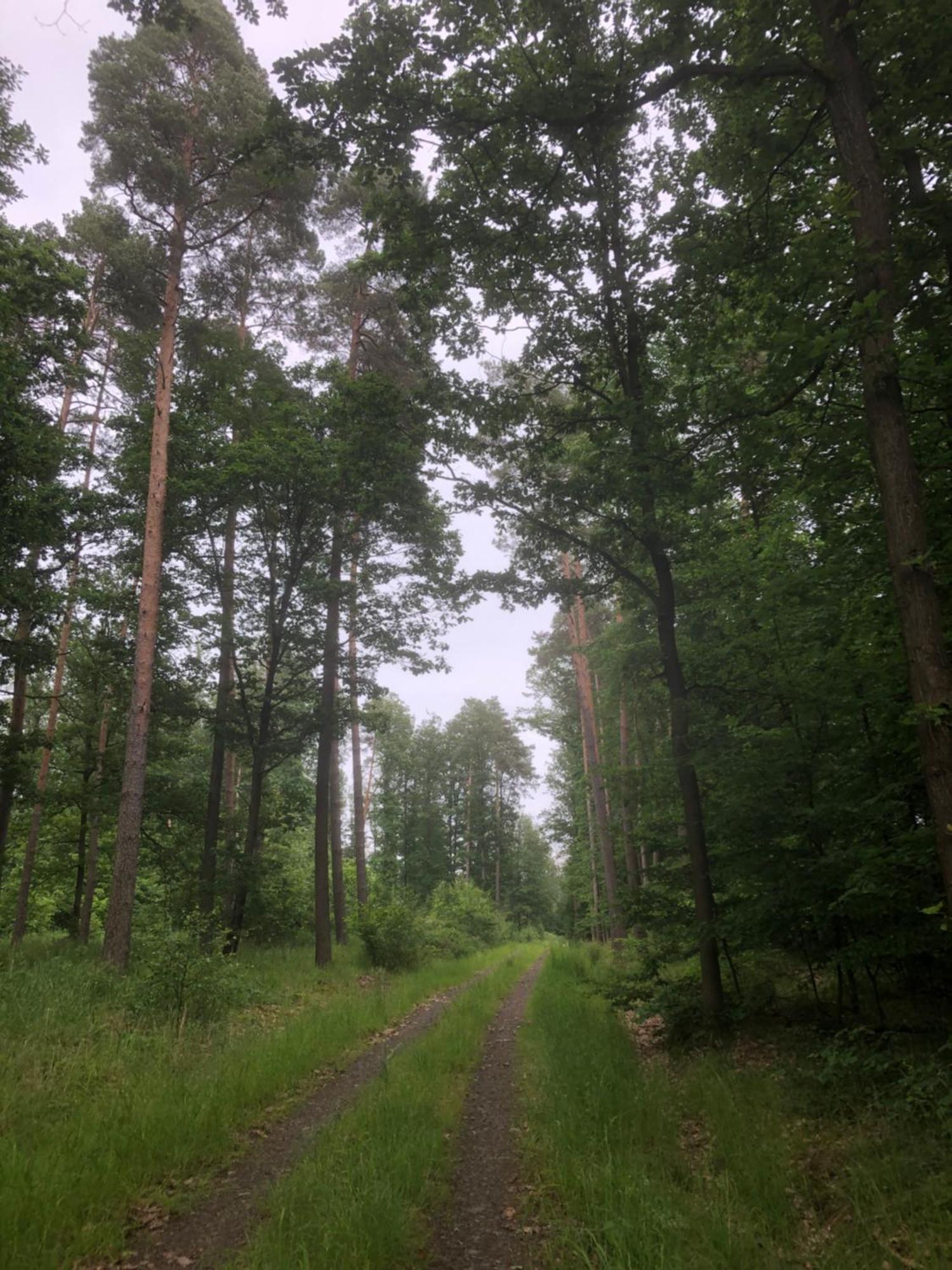 Ferienwohnung Am Gruenen Band Hellingen Bagian luar foto